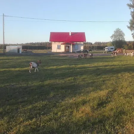 Роскошный шатер Peace & Quiet Pole Namiotowo-kempingowe *